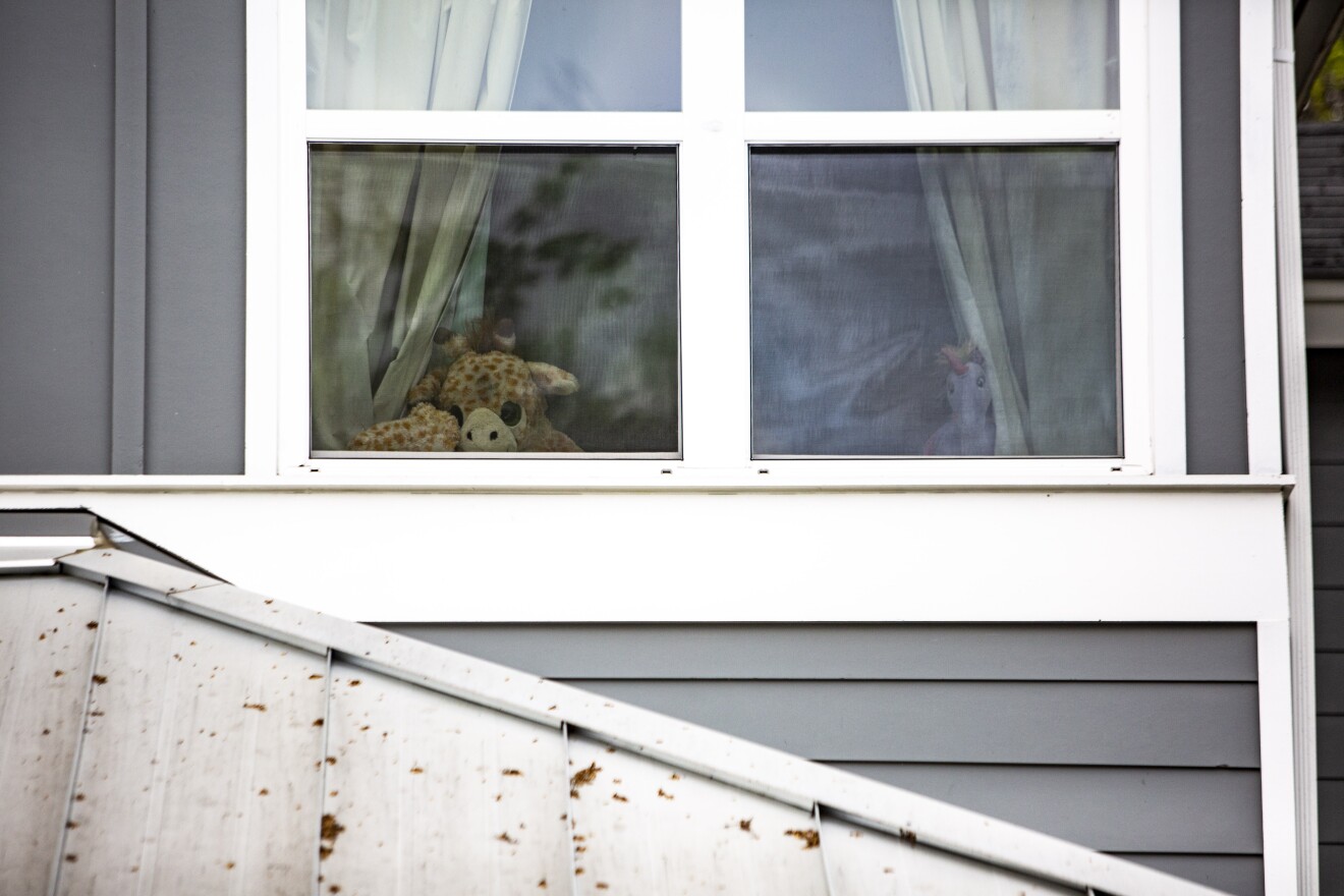 A giraffe and a unicorn hide in the corners of a second-story window.